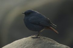 059A1482-copy-scaled