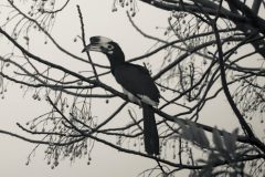 059A9038-copy-scaled