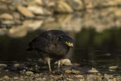 059A9092-copy-scaled