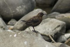 059A9256-copy-scaled