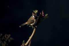 059A9297-copy-scaled