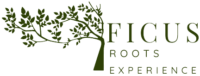 Ficus roots experiences